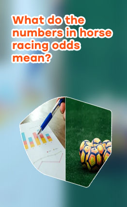 What does 5/2 mean in betting
